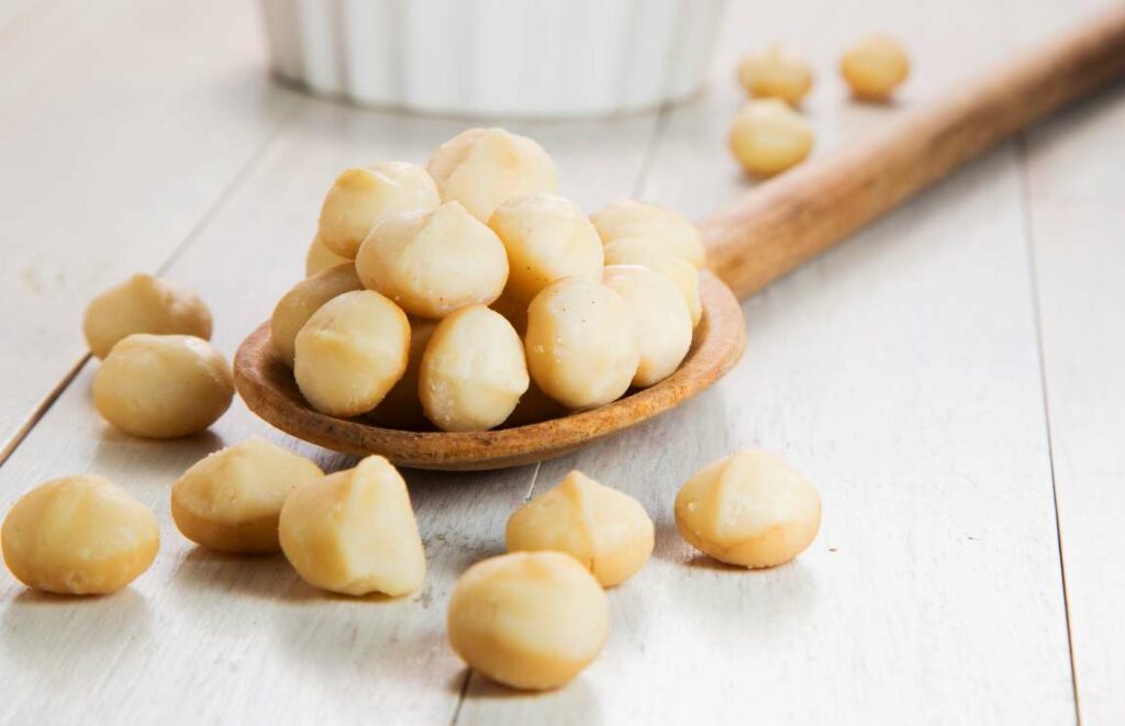 macadamia-nuts-