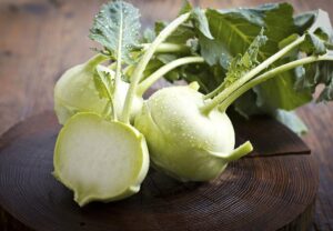 Do You Know Can dogs eat kohlrabi